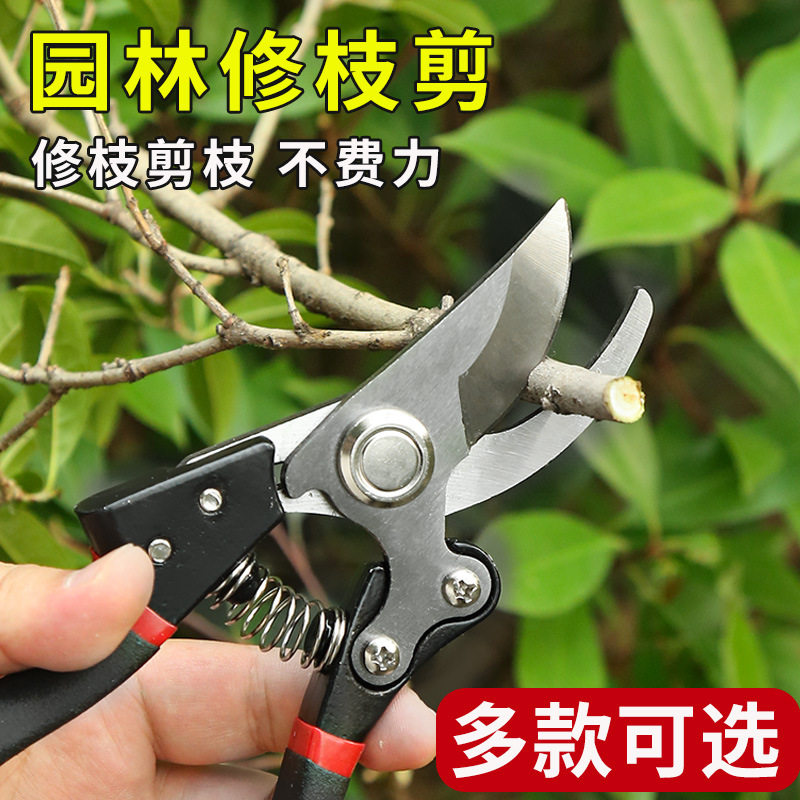 园艺粗枝剪果树园林修枝剪弯头弹簧省力手动园艺剪刀修树修剪树枝图片