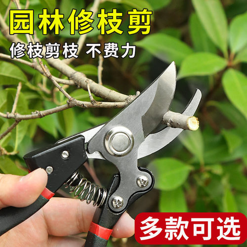 园艺粗枝剪果树园林修枝剪弯头弹簧省力手动园艺剪刀修树修剪树枝