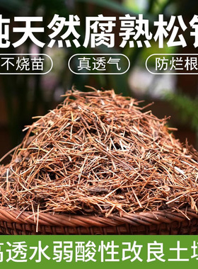 兰花松针腐叶殖土纯天然腐熟发酵垫材君子兰专用土养花通用营养土