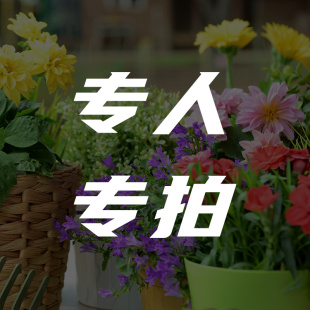专人专拍款链接（不可用平台满减）