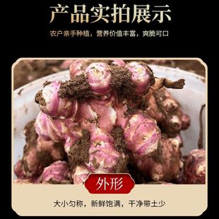 新疆红皮洋姜新鲜现挖鬼子姜不辣泡菜菊芋生吃脆甜水果姜红皮洋姜