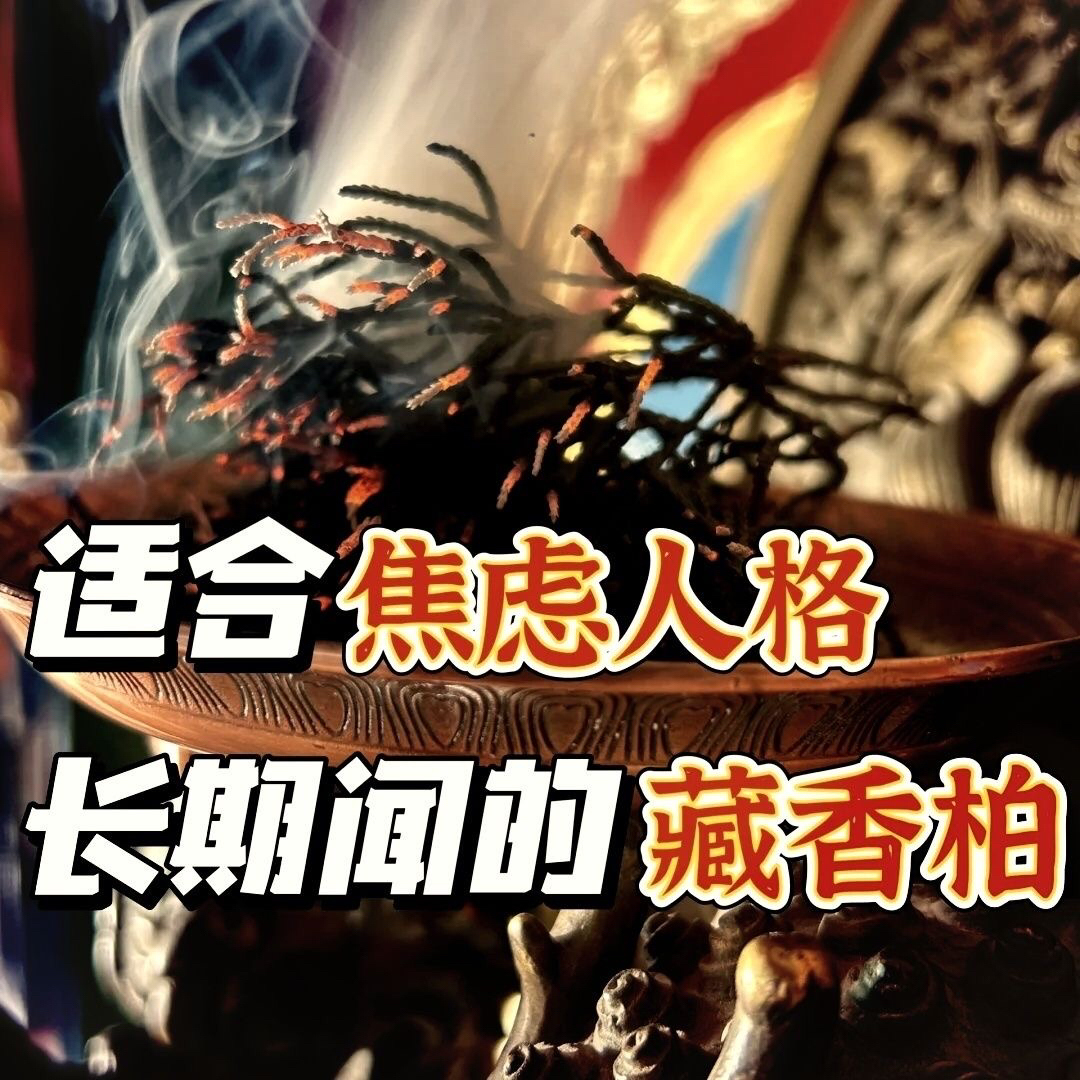 桑烟供侧柏叶天然香柏新鲜柏香枝香薰树枝净化火供浓香型藏香正品