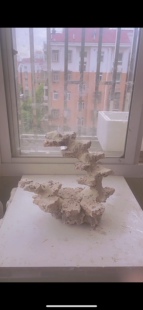 海缸造景  爪哇石造景 30*22*25 40缸 免爆藻