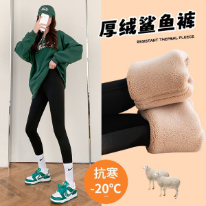 600克特厚鲨鱼裤女外穿冬加绒不勒腰芭比裤腰提臀不掉裆保暖裤