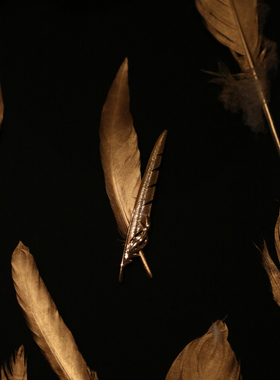 VA珠宝艺术家合作限量系列流金羽片胸针羽毛胸针纯银镀金