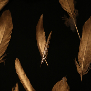 VA珠宝艺术家合作限量系列流金羽片胸针羽毛胸针纯银镀金