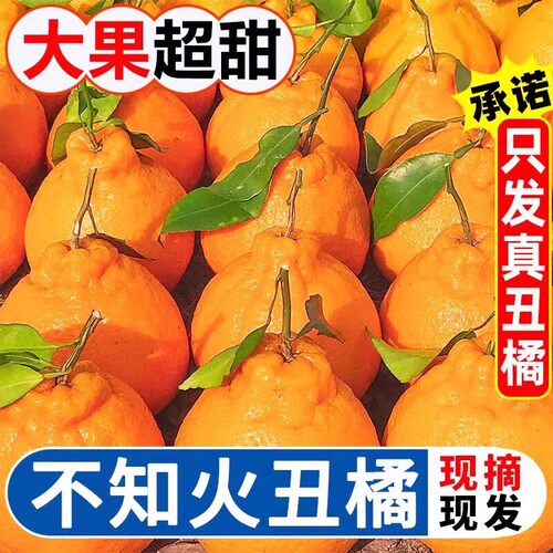 不知火丑橘丑八怪当季新鲜水果