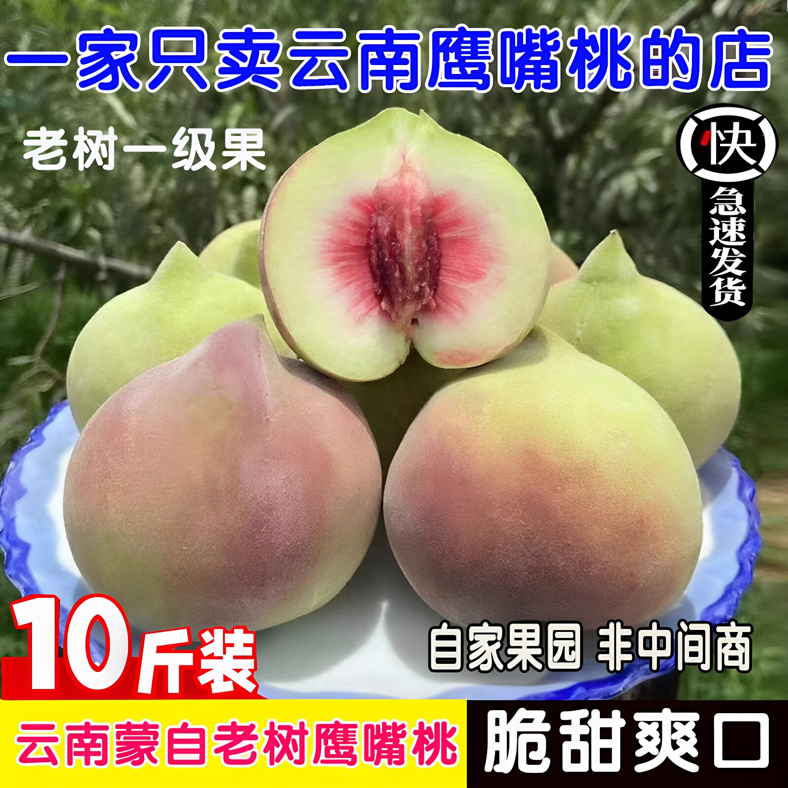 正宗云南蒙自鹰嘴桃新鲜水果高山脆蜜桃毛桃10斤大果包邮果园直发