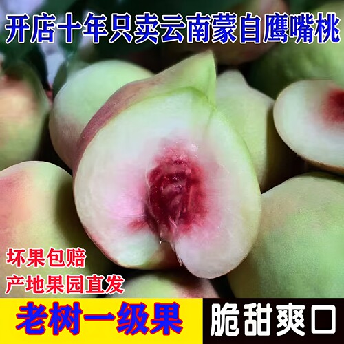正宗云南蒙自鹰嘴桃新鲜水果高山脆蜜桃毛桃10斤大果包邮果园直发