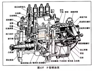国二一号泵1号泵大泵直列泵柴油杯燃油泵injector 老款 pump