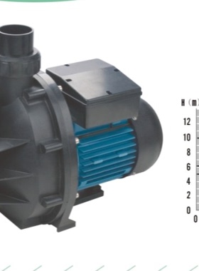 高性能泳池泵/水疗水泵塑料水泵SPA池水泵泳池爱克SS05 水泵SS075