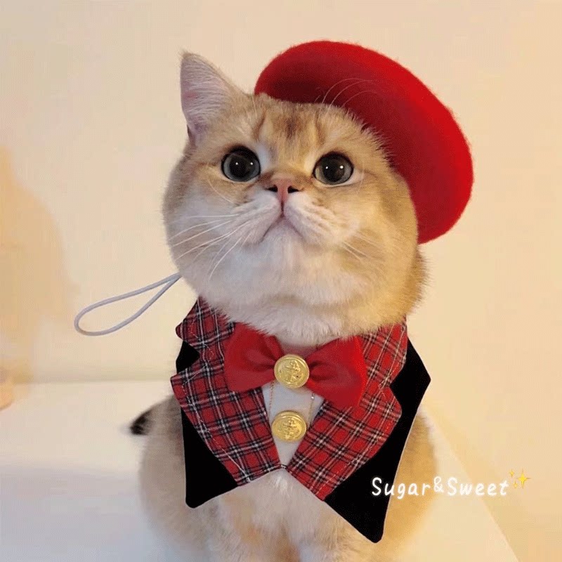 宠物绅士风小礼服猫咪围兜狗狗英伦学院风口水巾围嘴ins网红领结