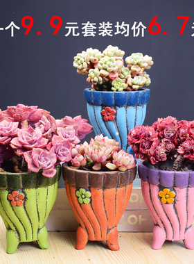 新款火锅盆多肉花盆厂家直销清仓肉肉老桩创意个性家用白陶高盆