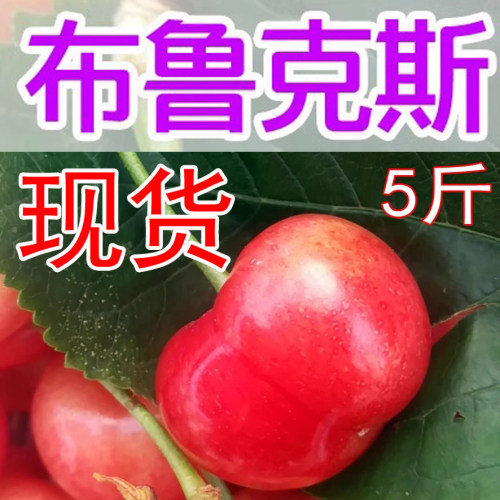 布鲁克斯山东新鲜水果