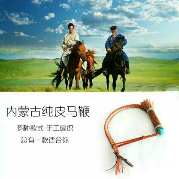 Article sports equestres - Ref 1380409 Image 1