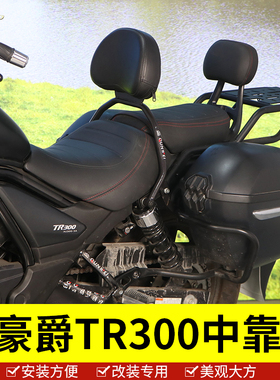 适用于豪爵TR300中靠背后靠背HJ300-3A后尾翼后背部支撑改装配件