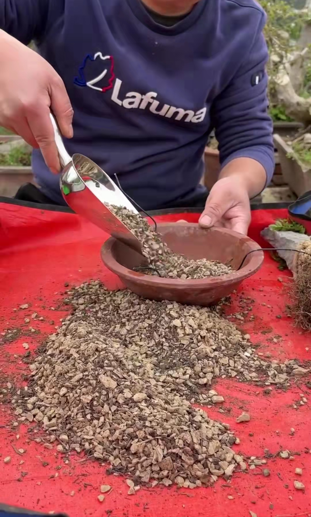 盆景专用土混合颗粒土3.85斤小包翻盆换土用风化石配干松针腐叶