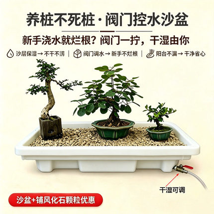 盆景专用养护沙盆浸盆保湿排水一体多功能盆栽养护台沙盘带接水盘