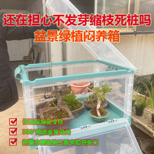 中小盆景急救闷养箱保湿透气发芽养护根系加高盆景保湿补水