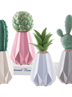 多肉治愈系摆件茶几客厅创意轻奢风书柜装饰品北欧电视柜植物摆设