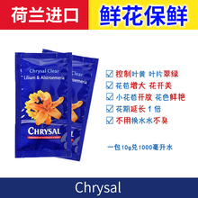 荷兰可利鲜 百合伴侣专用10g袋装粉剂球根类鲜花保鲜液营养剂
