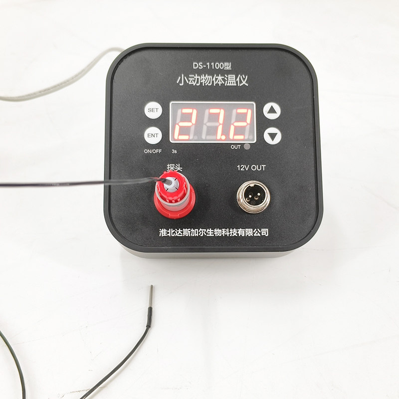 DS1100大鼠小鼠测温仪肛温计动物温度测量仪生物测温仪测实验室用