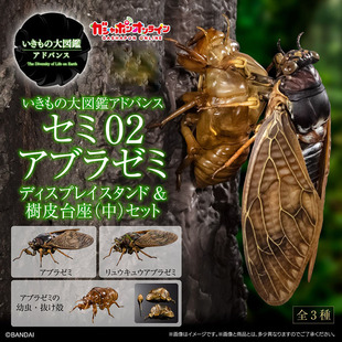 万代日本正版 生物大图鉴 蚱蝉02 知了 可动模型摆件手办扭蛋