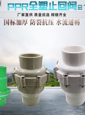 PPR立式止回阀20/25/32/40塑料给水管熔融活接逆止阀单向阀止水阀