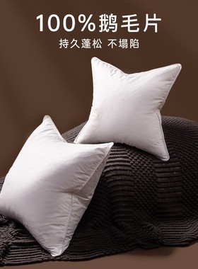 鹅毛羽绒抱枕芯内胆45x45 50方形绒片靠枕芯酒店沙发腰靠背靠垫芯