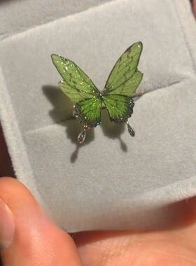 2024年新款爆款浅绿色蝴蝶戒指贝壳偏光闪闪亮小红书同款