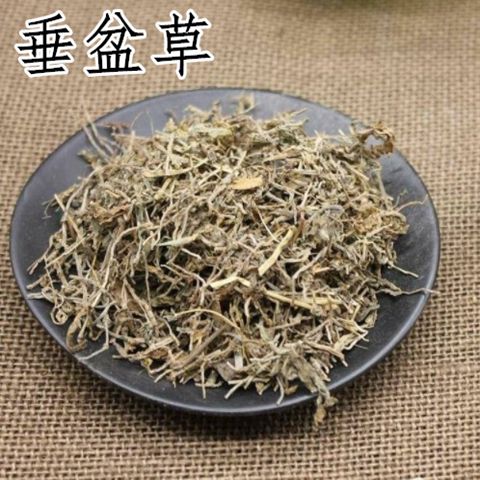 中药材垂盆草 新货垂盆草 野生垂盆草 500克包邮中草药垂盆草干货