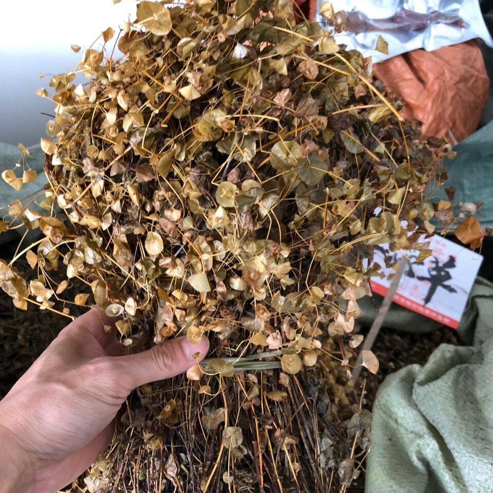 穿心草包邮 野生中药材 穿钱草 顶心风 狮子草 串钱草 干货