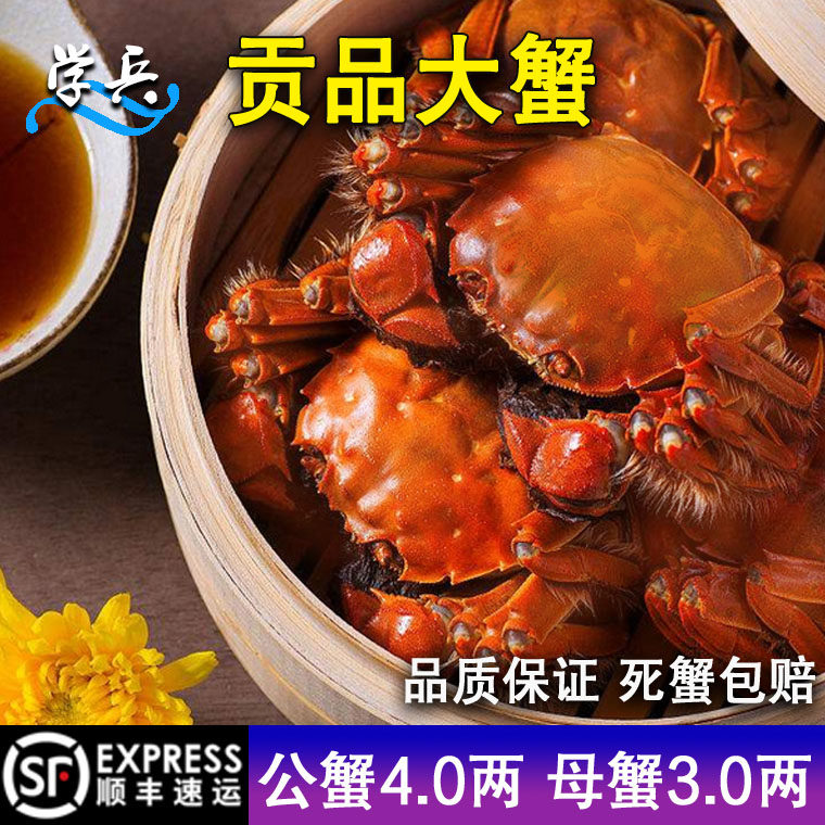 宝应湖大闸蟹公蟹4两母蟹3两各5只共10只鲜活现货礼盒江浙沪包邮