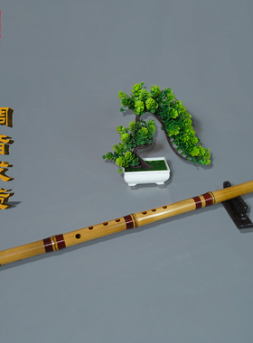 玉屏箫新款金竹短箫洞萧八孔正反手六孔箫乐器演奏洞箫舒厚槐制