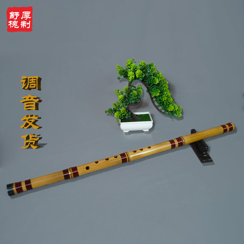 玉屏箫金竹短洞萧八孔正反手六