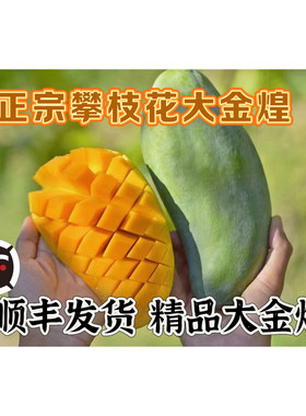 【顺丰发货】攀枝花大金煌芒果纯甜软糯新鲜产地直发（放软再吃）