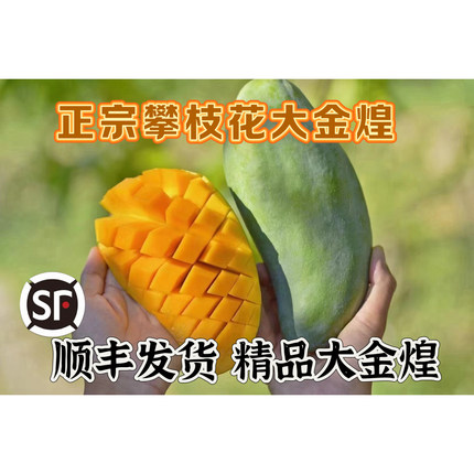 【顺丰发货】攀枝花大金煌芒果纯甜软糯新鲜产地直发（放软再吃）
