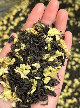 2026新茶四川花毛峰飘雪茉莉花茶明前浓香型耐泡花茶散装茶叶500g