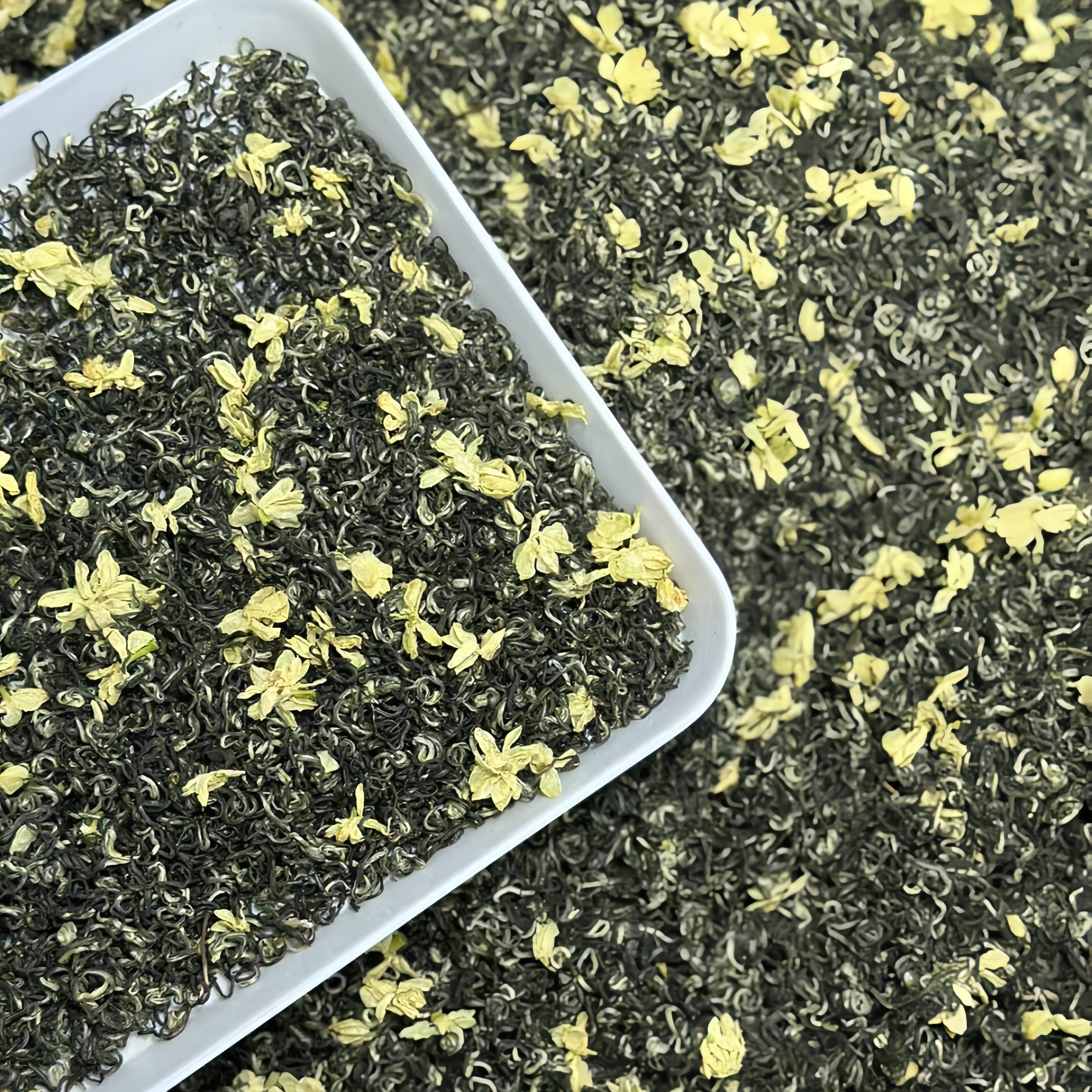 2026新茶四川碧潭级炒花飘雪明前特级浓香型茉莉花茶散装茶叶包邮