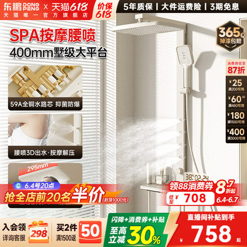东鹏全铜腰背喷淋浴花洒套装