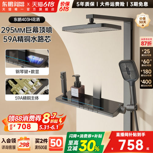 东鹏全铜腰背喷淋浴花洒套装