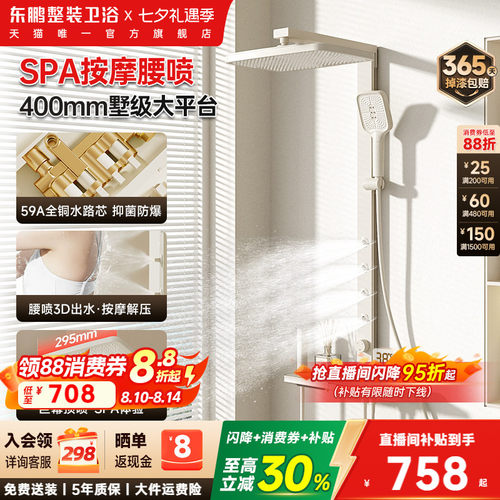 东鹏全铜腰背喷淋浴花洒套装