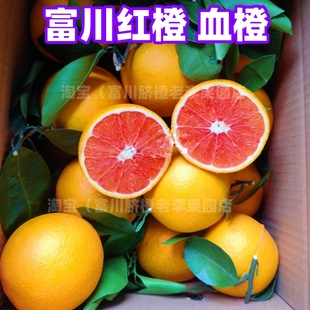 正宗富川血橙农家自种包邮富川红橙富川