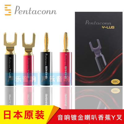 pentaconn音响功放音箱香蕉Y叉