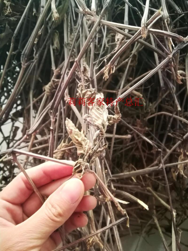 客家特产 煲汤料 红丝线草/红蓝草/山蓝草/青红线草 500克