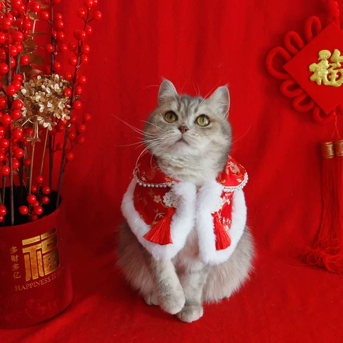 Шарф, красная накидка, плащ, демисезонный аксессуар