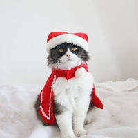 Рождественский плащ+шляпа [стоимость]