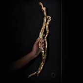 轻奢纯铜实心锻打橱柜把手异形仿生进口金属艺术大门柜门拉手定制