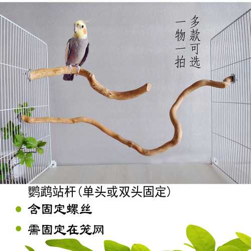 鹦鹉站杆 站棍 牡丹玄风鸟站杆  玩具  达样鸟笼站架  树枝站棍杆