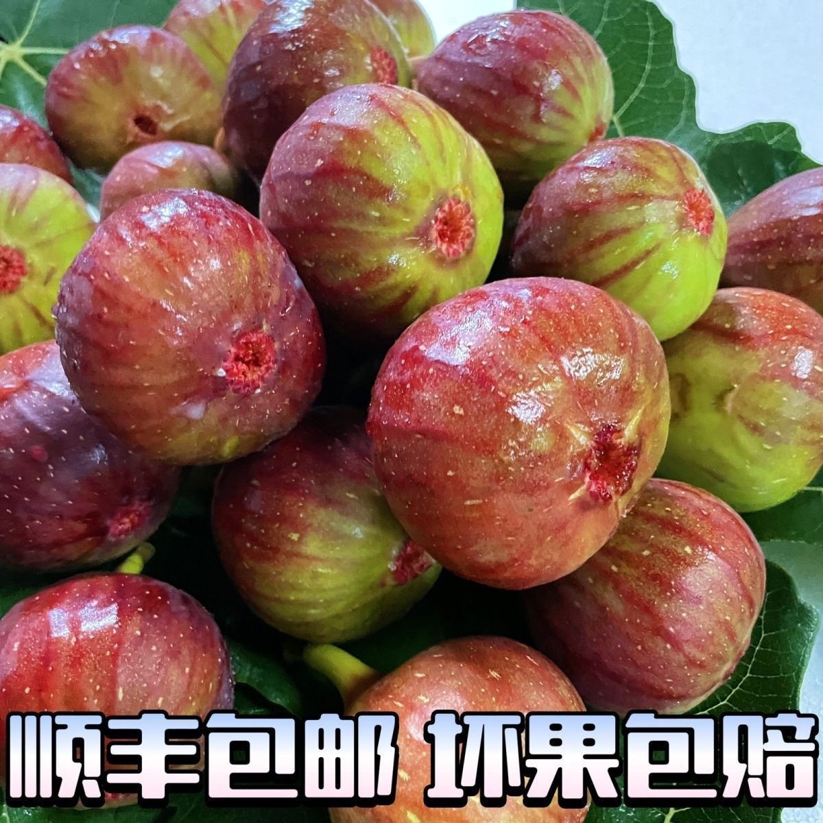 新鲜无花果现摘鲜果四川水果整箱批发顺丰包邮红皮无花果鲜大